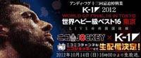 「K-1RISING 2012 K-1 World GP Final 16」